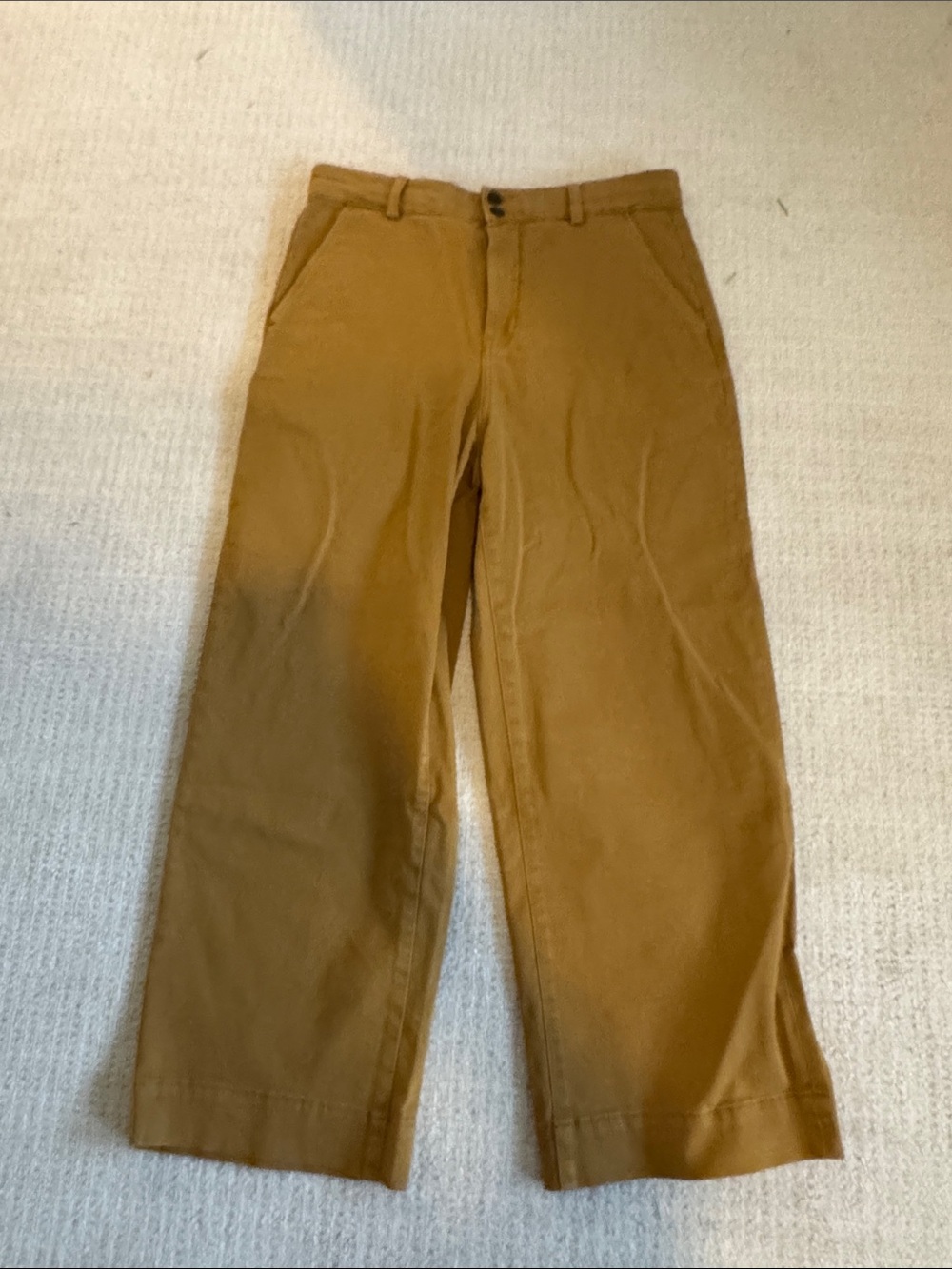 Everlane Wide-Leg Pants in Camel Brown